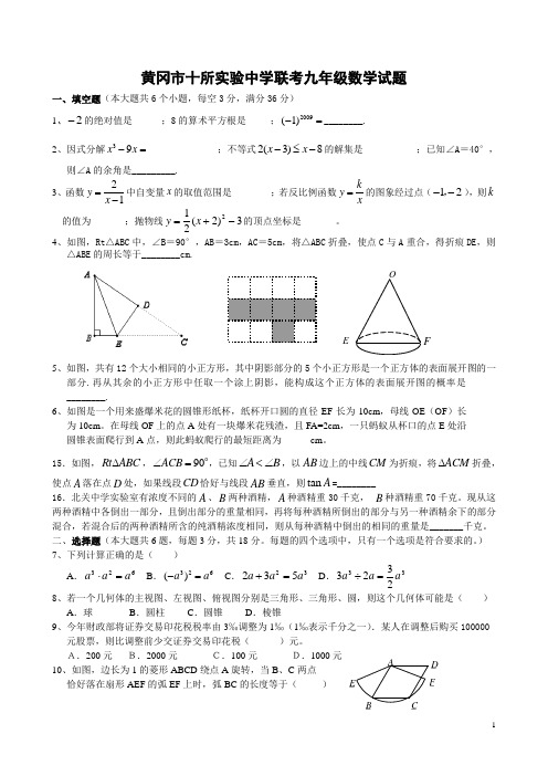 黄冈市2009年春十所实验中学联考九年级数学试题(含答案)