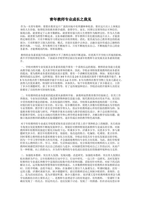 青年教师专业成长之我见