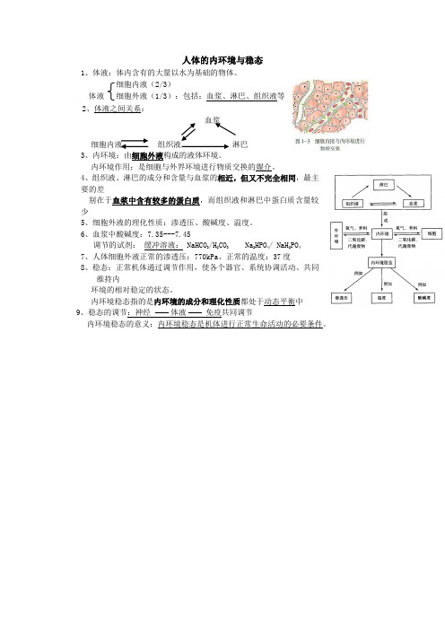 人体的内环境与稳态