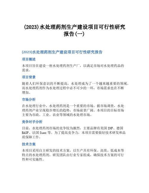 (2023)水处理药剂生产建设项目可行性研究报告(一)