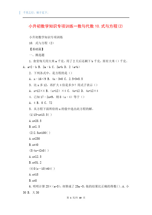 小升初数学知识专项训练一数与代数10.式与方程(2)