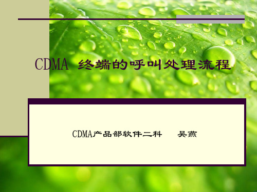 CDMA终端的呼叫处理流程