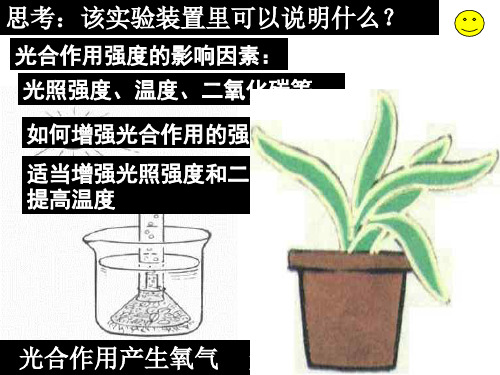 九年级科学植物的新陈代谢新陈代谢(PPT)3-2