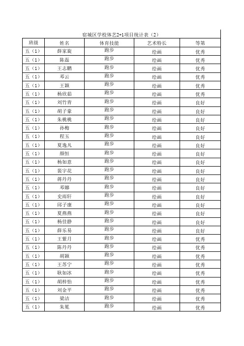 体艺2+1登记表