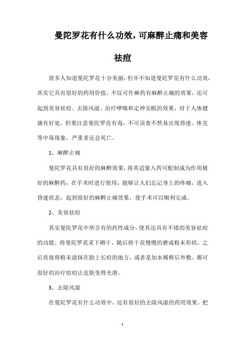 曼陀罗花有什么功效,可麻醉止痛和美容祛痘