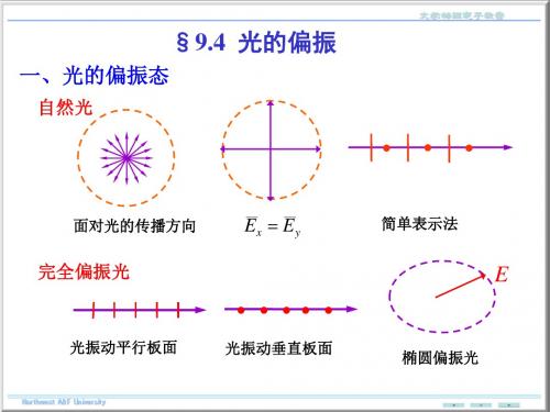 光的偏振