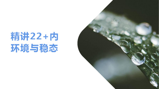 精讲22内环境与稳态-备战2024年高考生物一轮复习精讲课件(新教材新高考)