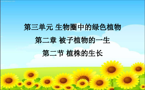 人教版七年级生物上册 第三单元 第二章 第二节植株的生长1