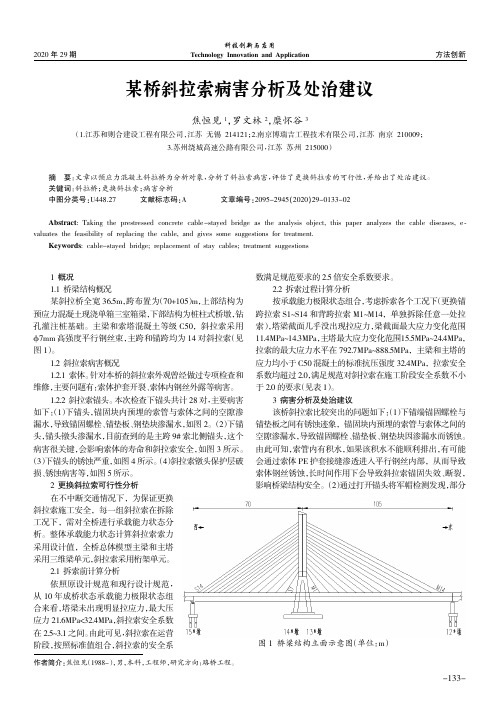 某桥斜拉索病害分析及处治建议