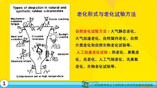 橡胶老化测定之一 抗耐热空气老化性能测定优秀文档