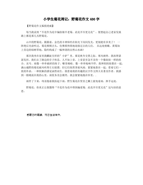 小学生菊花周记:野菊花作文400字