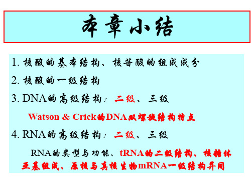 核酸理化性质和研究方法