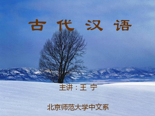 北京师范大学古代汉语课件(王宁)——汉字