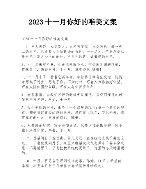 2023十一月你好的唯美文案