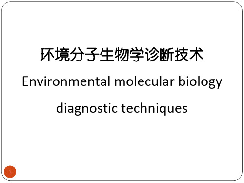 环境分子生物学诊断技术  04  采用生物芯片检测环境微生物