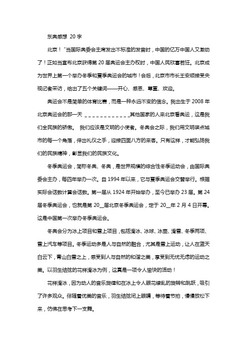 东奥感想 20字