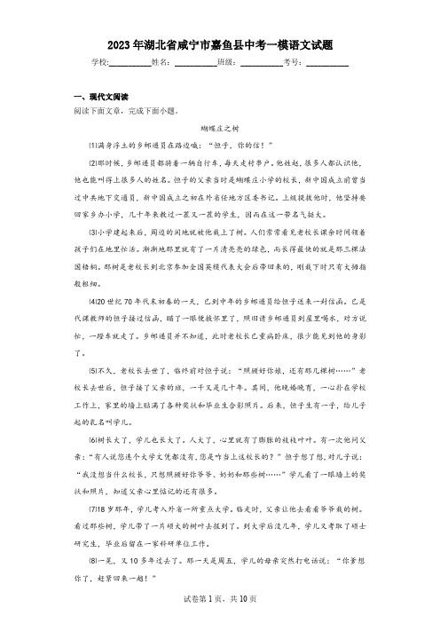 2023年湖北省咸宁市嘉鱼县中考一模语文试题(含解析)