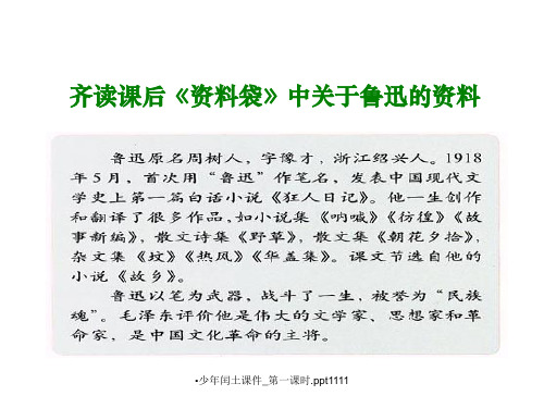 少年闰土课件_第一课时.ppt1111经典实用