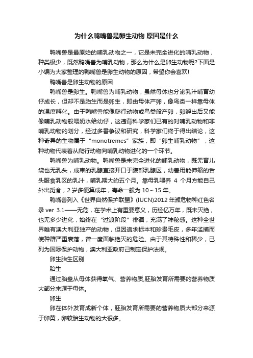 为什么鸭嘴兽是卵生动物原因是什么