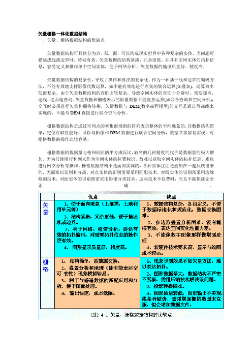 矢量栅格一体化数据结构