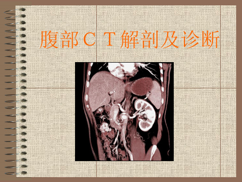 腹部CT解剖及常见疾病CT诊断