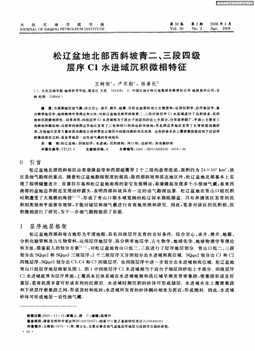 松辽盆地北部西斜坡青二、三段四级层序C1水进域沉积微相特征