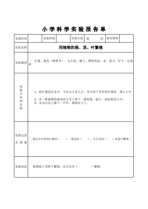 新苏教版科学四年级下实验报告单