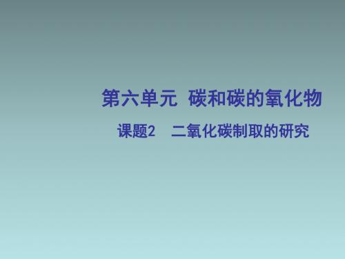 九年级化学上册 6.2 二氧化碳制取的研究课件 (新版)新人教版