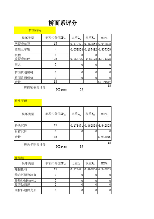 城市桥梁BCI检测(修改)