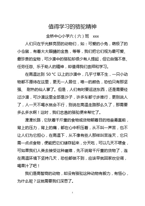 值得学习的骆驼精神