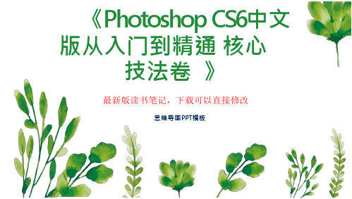 《Photoshop CS6中文版从入门到精通 核心技法卷  》读书笔记