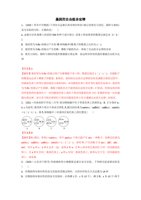 专题15 基因的自由组合定律(精练)(解析版)