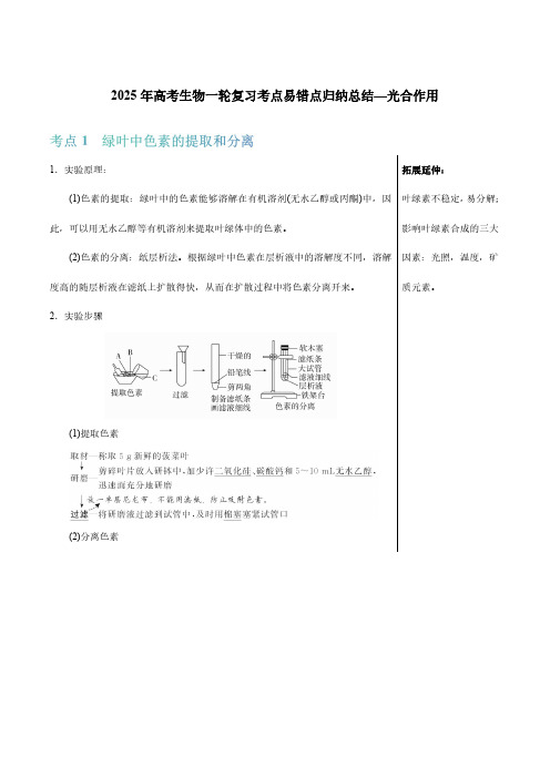 2025年高考生物一轮复习考点易错点归纳总结—光合作用