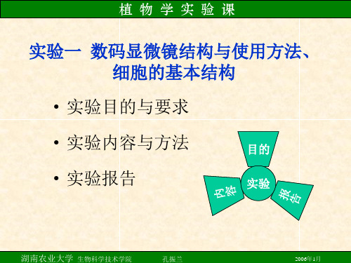 (精选)数码显微镜结构与使用方法、细胞的基本结构