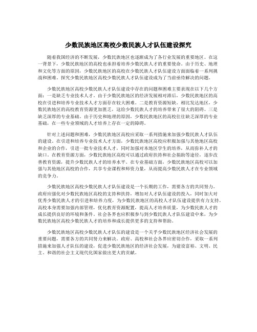 少数民族地区高校少数民族人才队伍建设探究