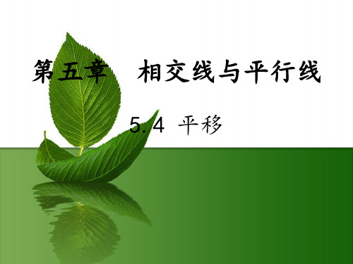 人教版七年级数学下册课件：5.4 平移(共24张PPT)