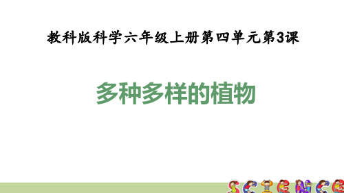 教科版六年级科学上册4.3多种多样的植物(教学课件)