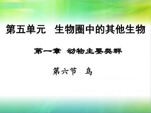 人教版生物八年级上册课件5.1.6《鸟》(共23张PPT)