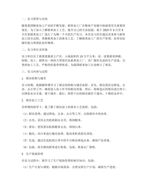 稻米加工厂生产实习报告