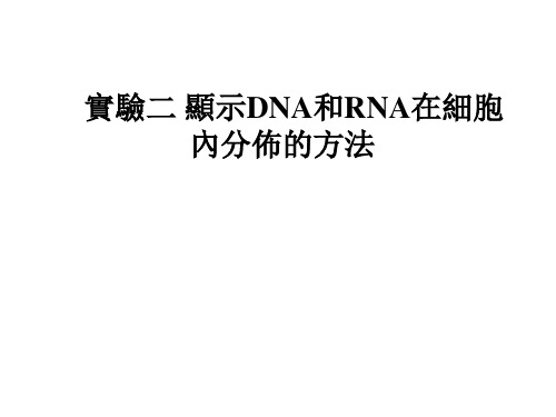 细胞生物学实验课件-显示DNA和RNA在细胞中的分布
