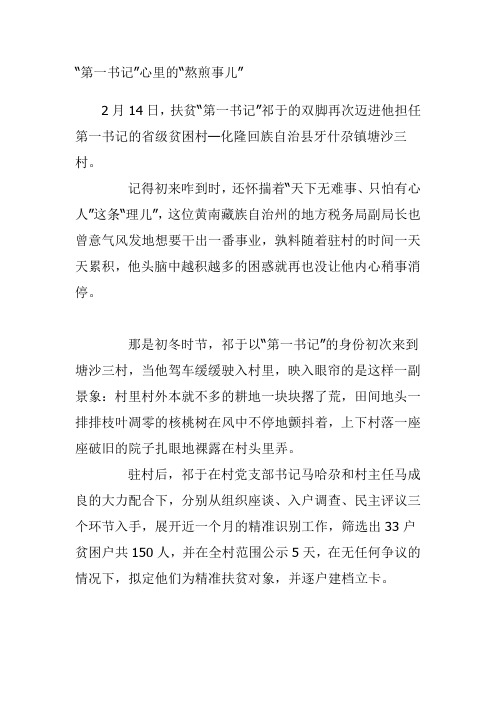 精准扶贫第一书记个人工作案例