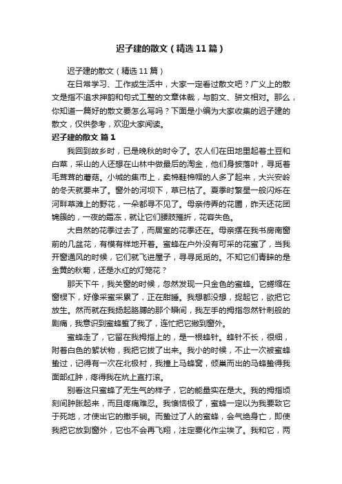 迟子建的散文（精选11篇）