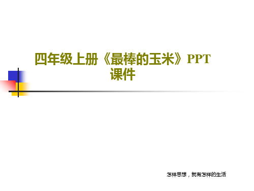 四年级上册《最棒的玉米》PPT课件共17页