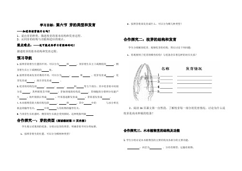 济南版八年级上册(10)第六节 芽的结构和类型导学案