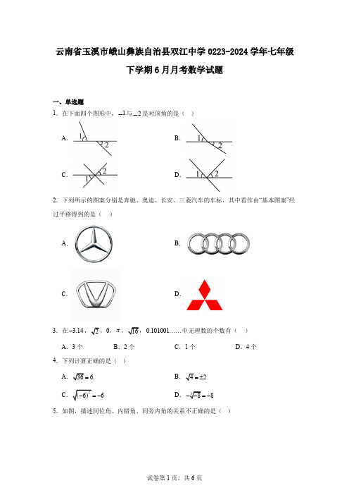 云南省玉溪市峨山彝族自治县双江中学0223-2024学年七年级下学期6月月考数学试题