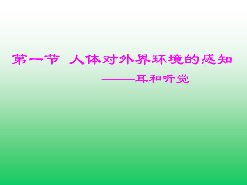 人体对外界环境的感知——耳和听觉初中生物课件