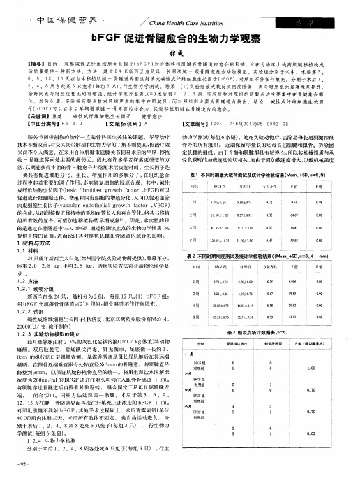 bFGF促进骨腱愈合的生物力学观察