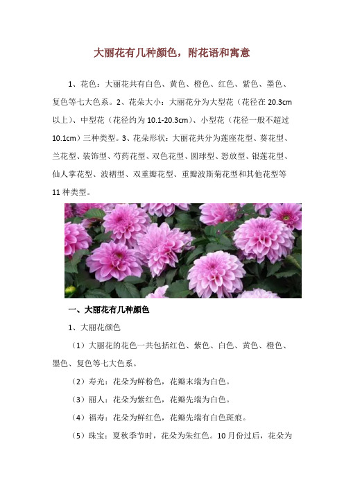 大丽花有几种颜色,附花语和寓意