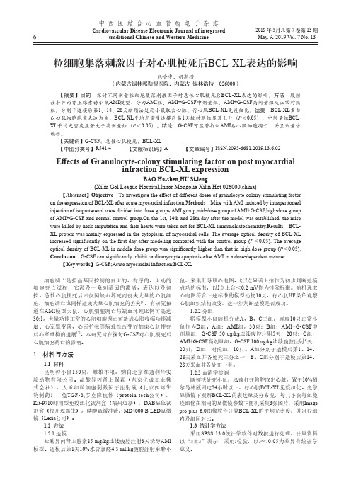 粒细胞集落刺激因子对心肌梗死后BCL-XL表达的影响