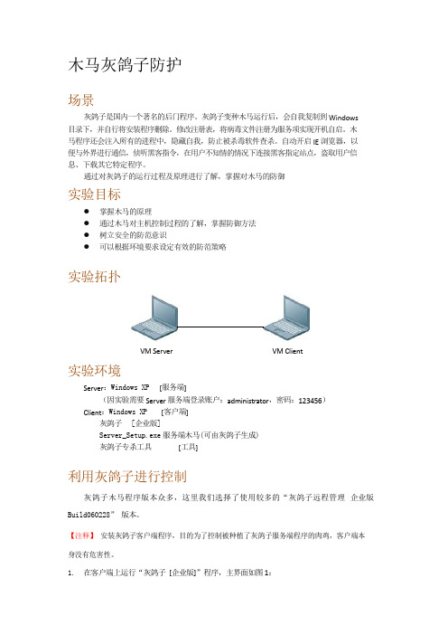 木马灰鸽子防护